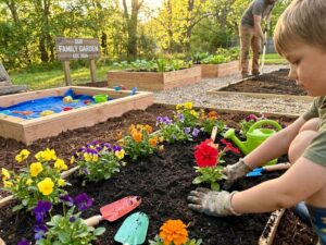 Kind plant kleurrijke zaailingen in familietuin met kindertuingereedschap en verhoogde plantenbedden in zonlicht